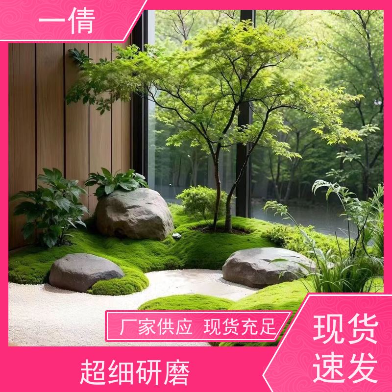 一倩花卉 室内 好事花生 室内植物出租 桌面绿植 花木护理