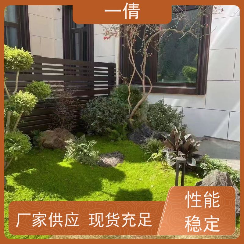 一倩花卉 办公室 富贵籽 绿植出售 桌面绿植 花木护理