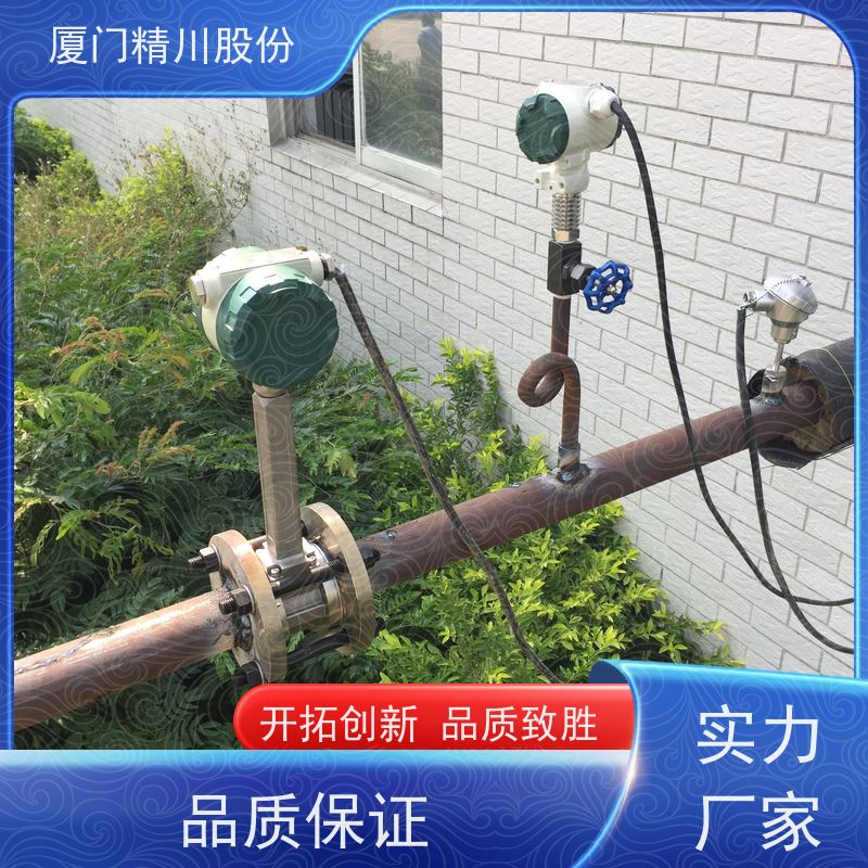 精川股份 合成革厂 饱和蒸汽流量计 分体式温压补偿 支持免费选型
