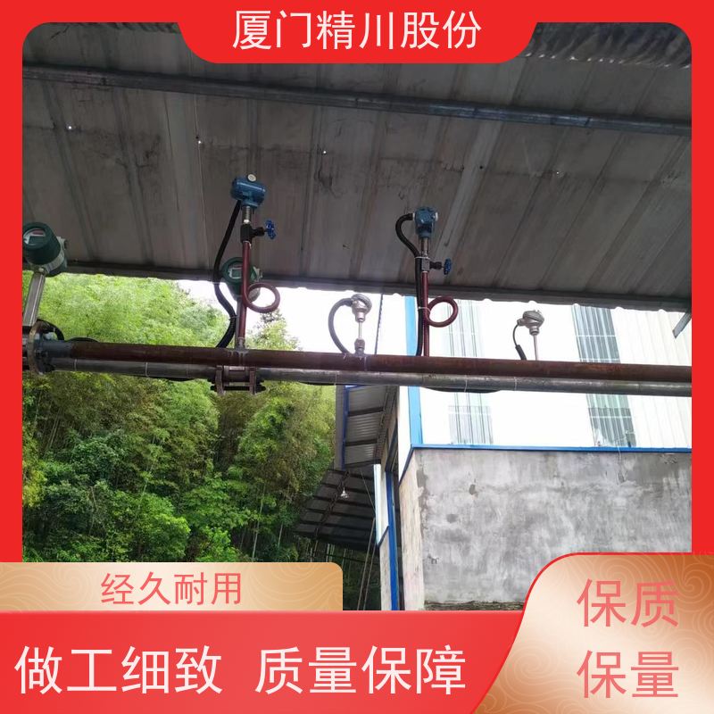 精川股份 合成革厂 饱和蒸汽流量计 抗震性能好 真实应用案例多
