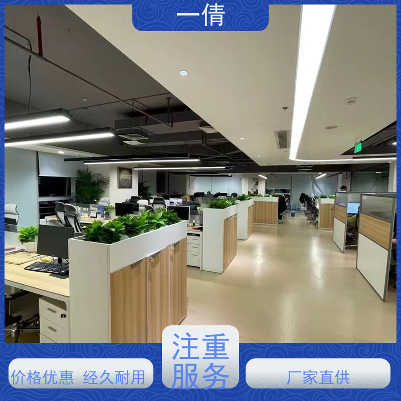 一倩花卉 深圳 金钱树 绿植租赁 桌面绿植 花木护理