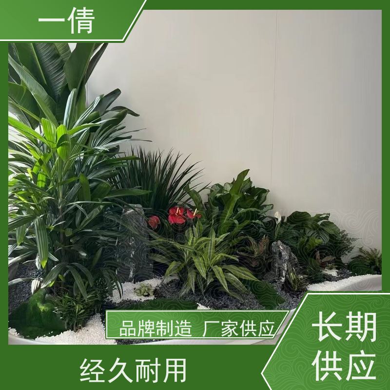 一倩花卉 办公室 袖珍椰子 绿植租赁 种类繁多 规格齐全