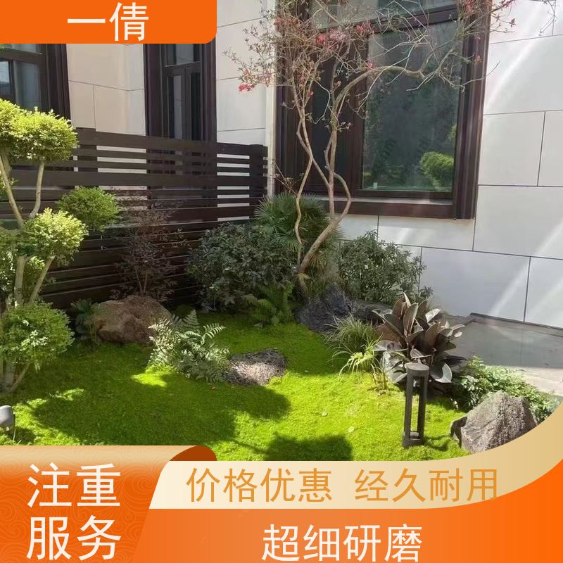 一倩花卉 前台 单杆幸福树 绿植租摆 种类繁多 规格齐全