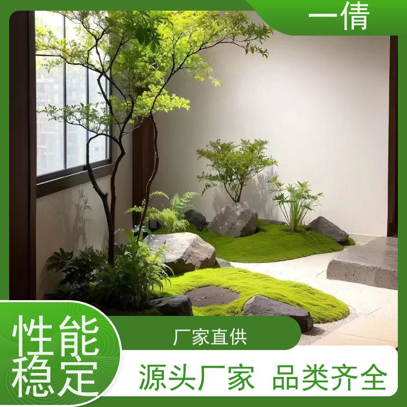 一倩花卉 办公室 小仙女海芋 花卉租赁 全城配送 上门养护