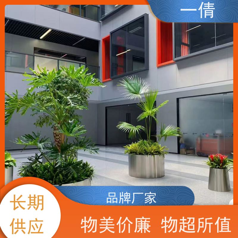 一倩花卉 室内 袖珍椰子 开业花篮租赁 桌面绿植 花木护理
