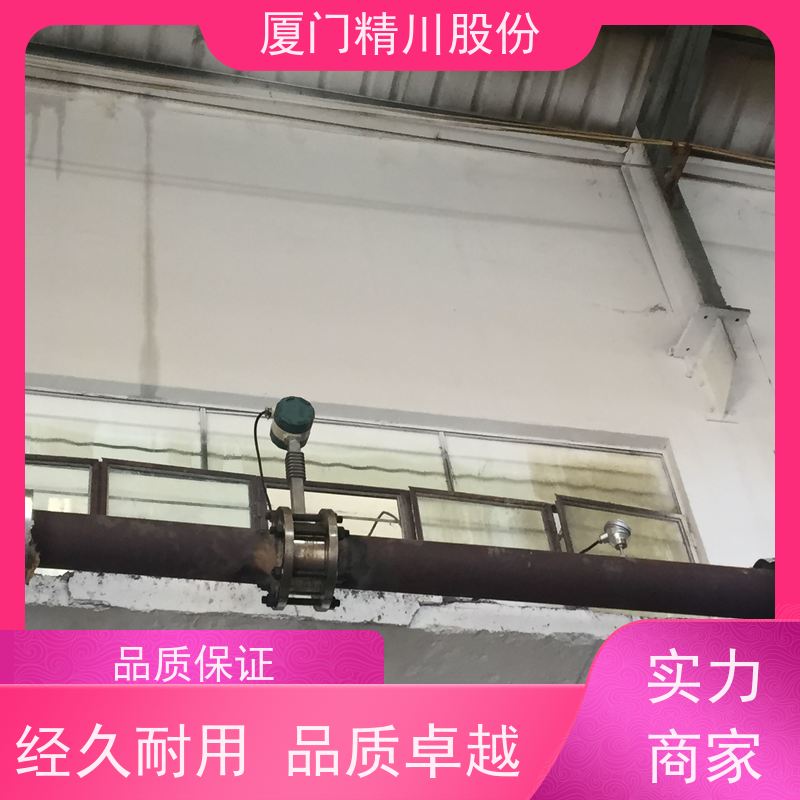 精川股份 合成革厂 导热油炉流量计 耐高温400度 应用广泛