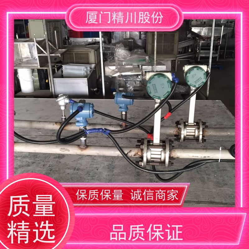精川股份 饲料厂 压缩空气流量计 抗震性能好 支持免费选型