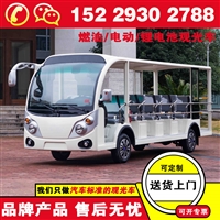太原景区电动观光车 蔚来忠辉观光燃油观光车