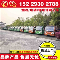 济南忠辉电动观光车 电动观光车游览车厂家