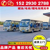 商洛燃油/电动观光车 蔚来忠辉观光车定做