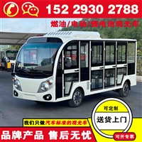 广东广州锂电池观光车 蔚来忠辉电动观光车那里品牌好