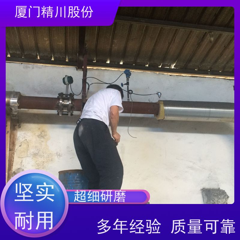 精川股份 电镀厂 饱和蒸汽流量计 分体式温压补偿 支持免费选型