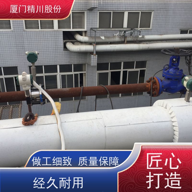 精川股份 橡胶厂 过热蒸汽流量计 抗震性能好 维护量少