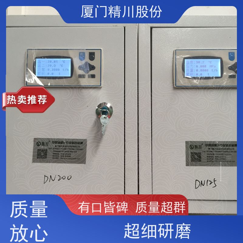 精川股份 合成革厂 导热油热能表 自动计算能量 品质可靠