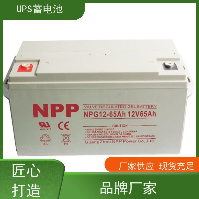 UPS电池 NPG12-250  铅酸胶体阀控式 华南区代理 