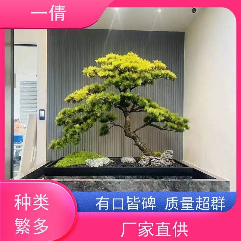一倩花卉 室内 绿巨人 花卉租赁 全城配送 上门养护