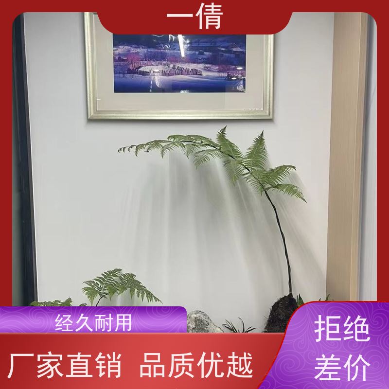 一倩花卉 办公室 铁树 开业花篮租赁 全城配送 上门养护
