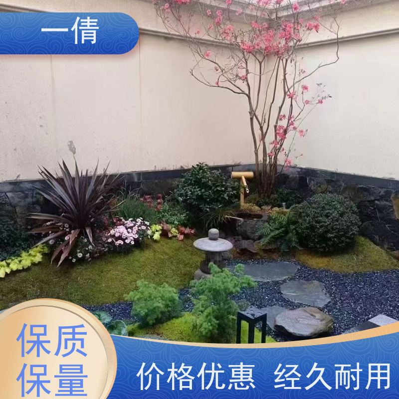 一倩花卉 深圳 造型螺纹铁 室内植物出租 全城配送 上门养护