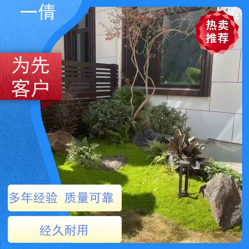 一倩花卉 室内 杜鹃 花卉租赁 全城配送 上门养护