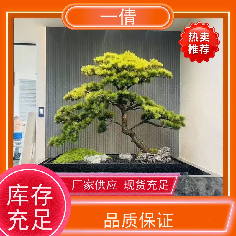 一倩花卉 前台 夏威夷竹 绿植出售 桌面绿植 花木护理