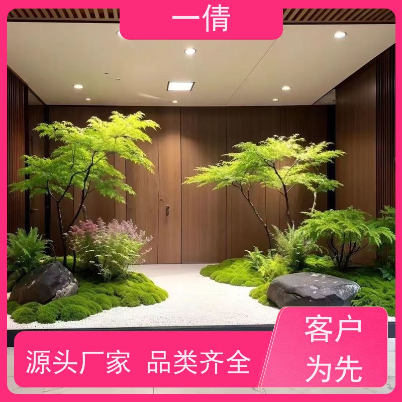 一倩花卉 室内 白掌 花卉租赁 桌面绿植 花木护理