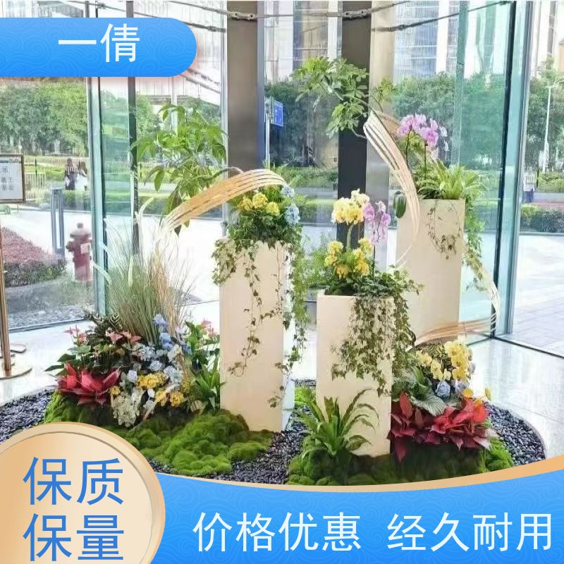 一倩花卉 前台 单杆幸福树 开业花篮租赁 全城配送 上门养护