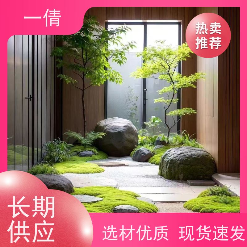 一倩花卉 办公室 单杆发财树 室内植物出租 全城配送 上门养护
