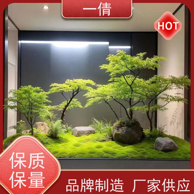 一倩花卉 深圳 好事花生 绿植租赁 桌面绿植 花木护理
