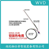WZP-140G热电阻 应用领域