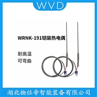 WZPB2-TH05FM热电偶 维护建议