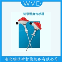 AS18-WS1800热电偶 维护建议