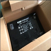 大力神蓄电池12V65AH西恩迪C&D12-65A LBT安防ups电源配电柜电瓶