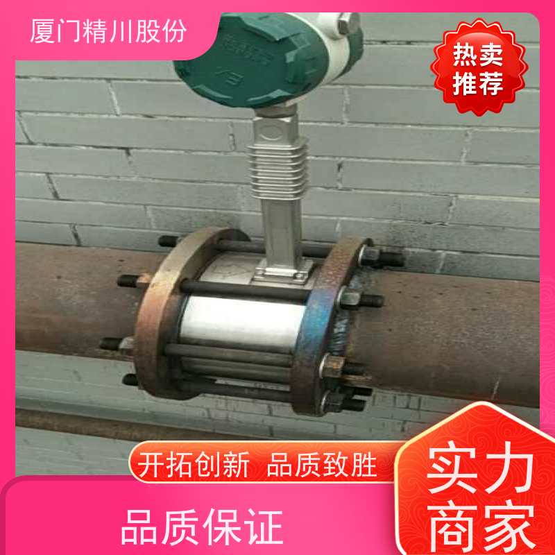 精川股份 合成革厂 导热油热量表 精度高 应用广泛