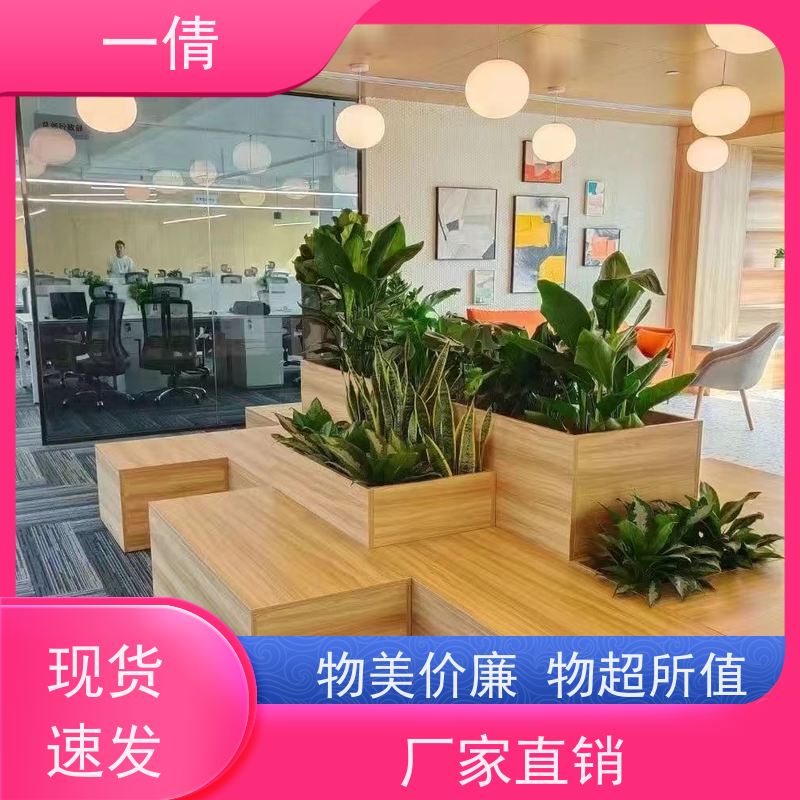 一倩花卉 办公室 琴叶榕 室内植物出租 种类繁多 规格齐全