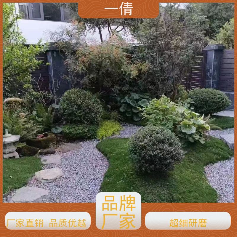 一倩花卉 办公室 绿巨人 室内植物出租 种类繁多 规格齐全