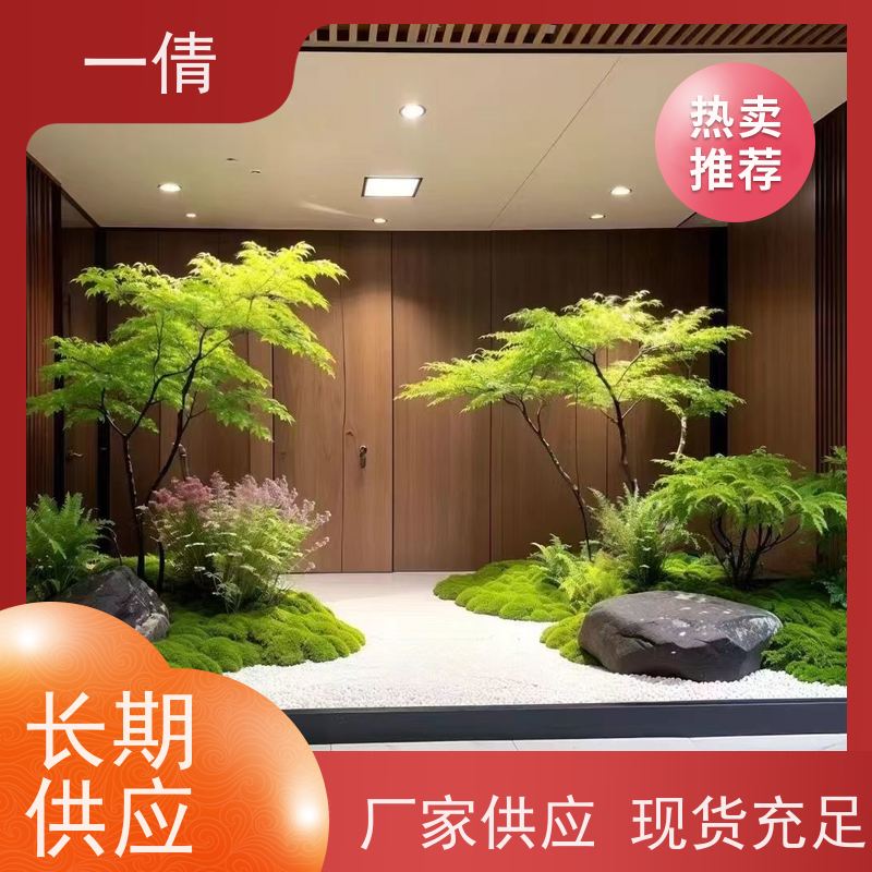 一倩花卉 深圳 百合竹 花卉租赁 桌面绿植 花木护理