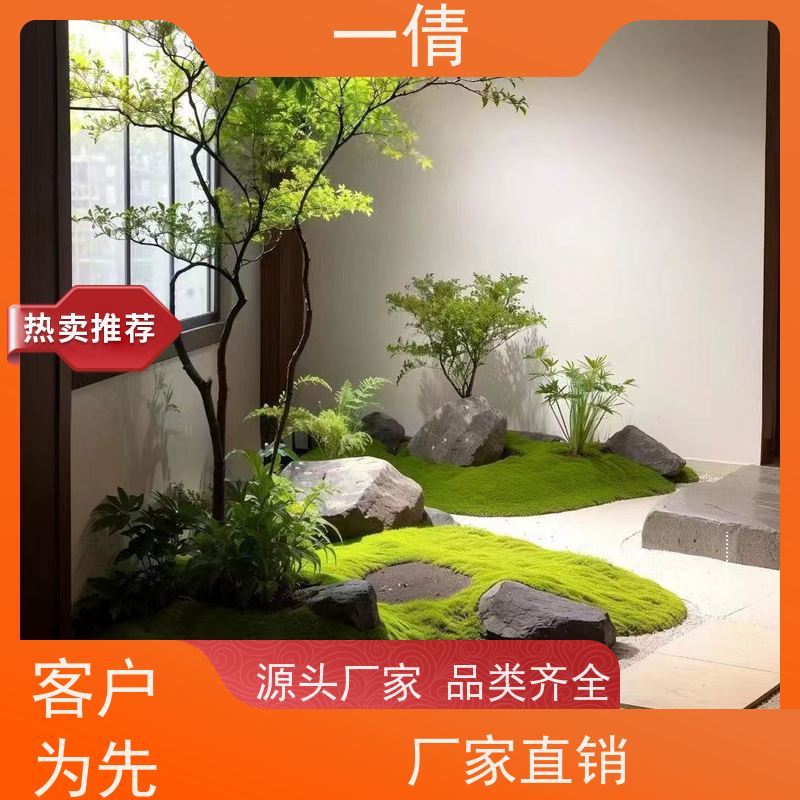 一倩花卉 室内 夏威夷竹 室内植物出租 桌面绿植 花木护理