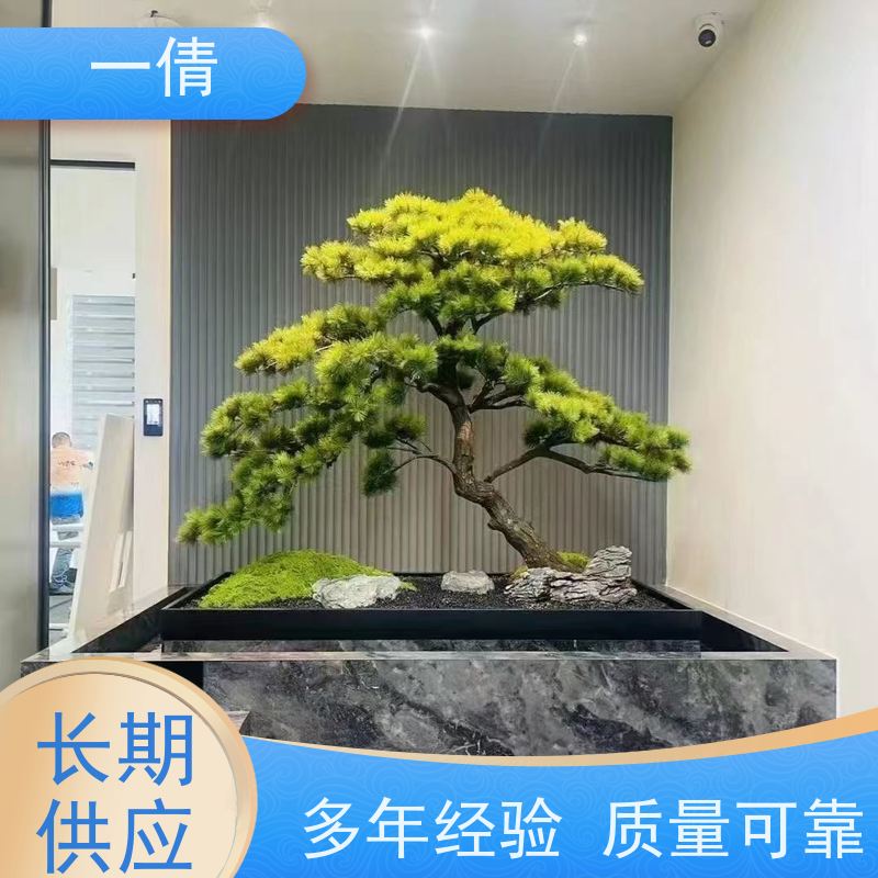 一倩花卉 室内 三杆发财树 开业花篮租赁 全城配送 上门养护