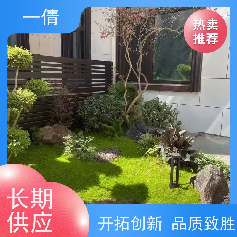 一倩花卉 深圳 单杆幸福树 绿植出售 全城配送 上门养护
