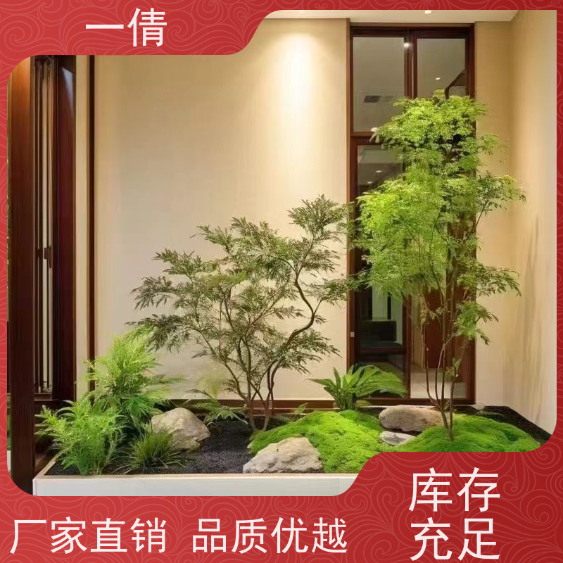 一倩花卉 室内 单杆幸福树 绿植出售 全城配送 上门养护