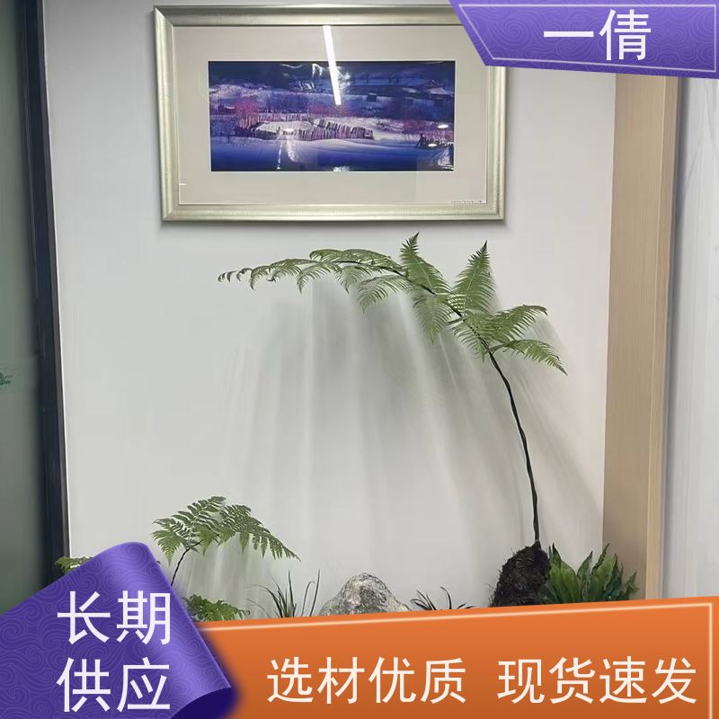 一倩花卉 办公室 苹果树 绿植出售 全城配送 上门养护