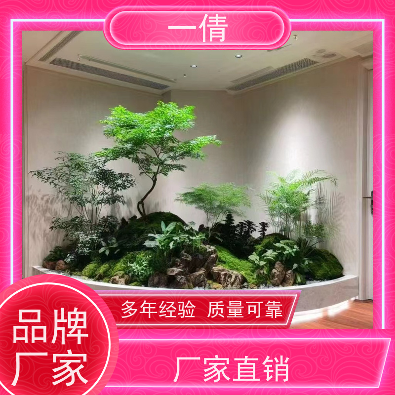 一倩花卉 室内 苹果树 花卉租赁 桌面绿植 花木护理