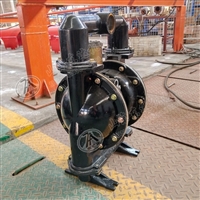 铸铝气动隔膜泵 BQG320/0.3气动隔膜泵