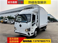 陕汽智云S300纯电动冷藏车 9.5-165.15度电新能源冷链车