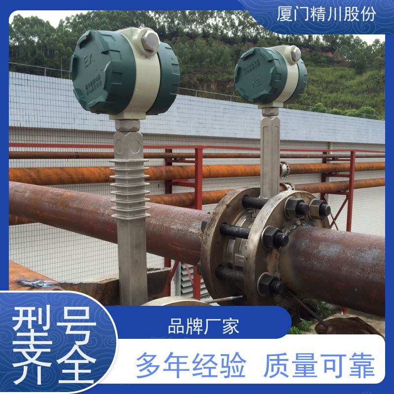 精川股份 合成革厂 导热油流量计 精度高 经久耐用