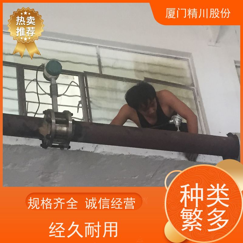 精川股份 合成革厂 导热油流量计 耐高温400度 单位可选