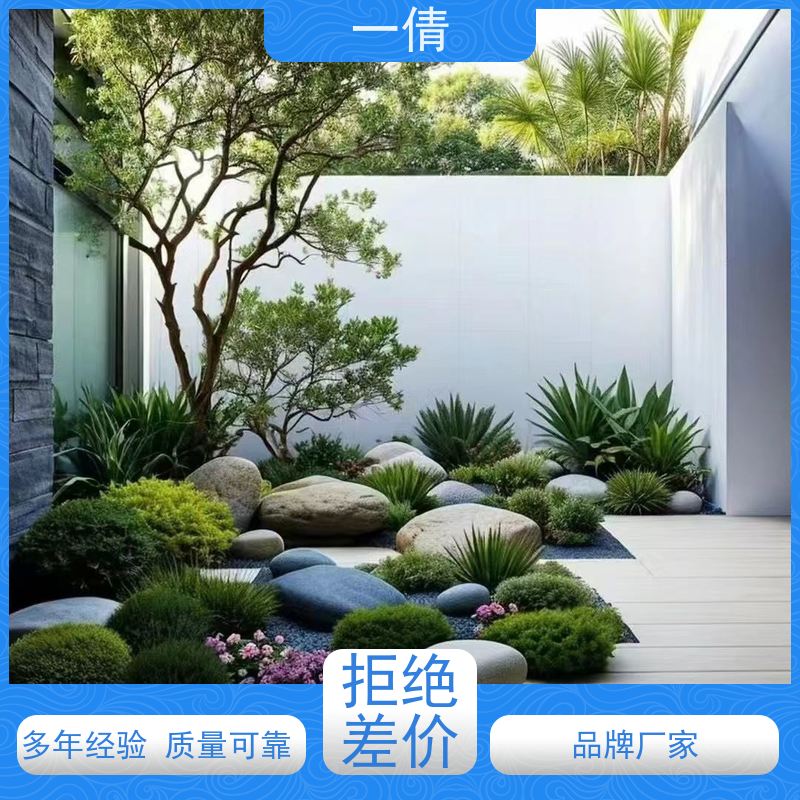 一倩花卉 室内 小仙女海芋 开业花篮租赁 净化空气