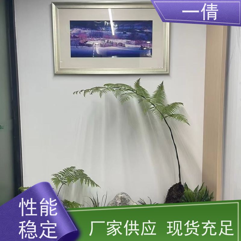 一倩花卉 前台 单杆幸福树 开业花篮租赁 种类繁多 规格齐全