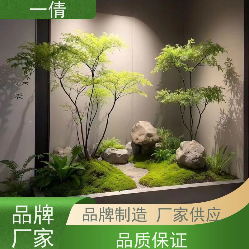 一倩花卉 室内 富贵竹 开业花篮租赁 桌面绿植 花木护理