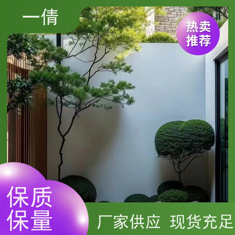 一倩花卉 室内 鸭脚木 开业花篮租赁 种类繁多 规格齐全